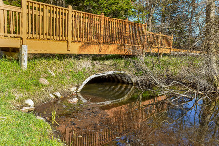 Bridge over creek-2