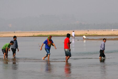 Frolicking wade wading