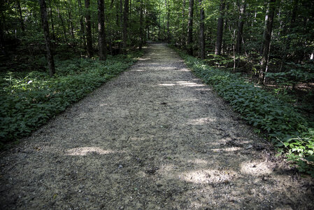 Path of the ledges Trail in Cayuhoga Valley National Park, Ohio photo
