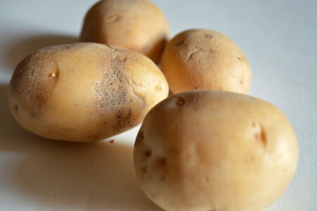 Potato Bunch 2