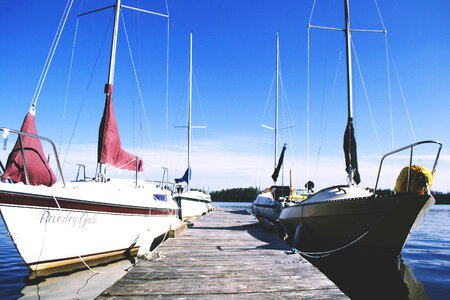 Yachts at Dock photo