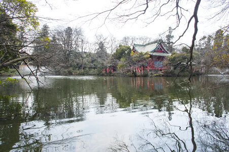 29 Inogashira Park