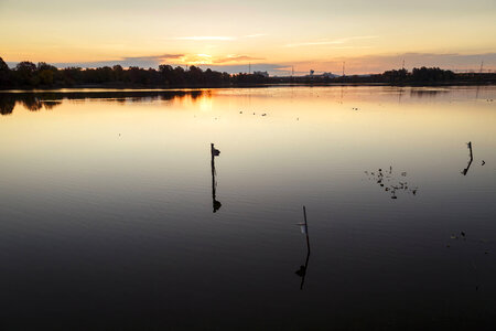 Water flows through John Heinz National Wildlife Refuge-1
