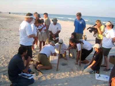 Given group strand