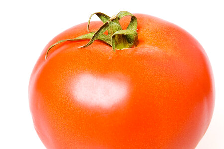 Tomato photo