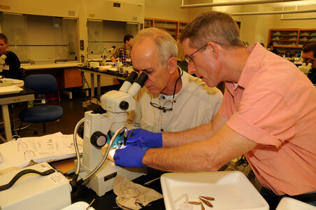Students identify fish in the lab classroom-6