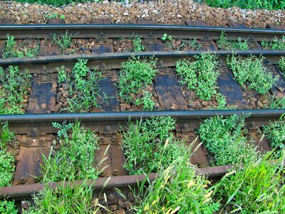 Track end nature train photo