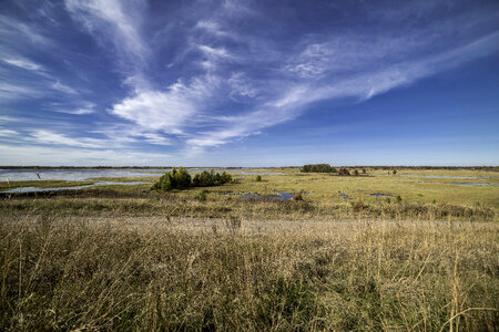 Overlook under the skies at Crex Meadows photo