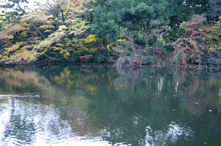 5 Shinjuku Gyoen