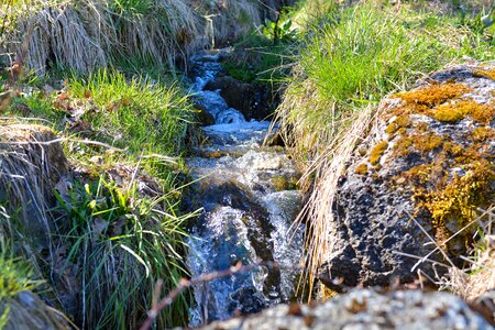 Water running water nature