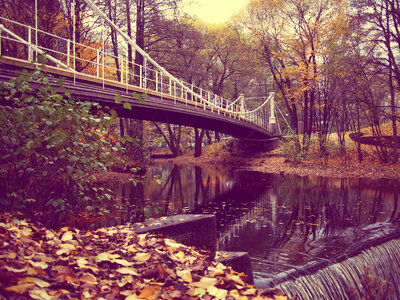 Autumn with bridge over a creek in Norway