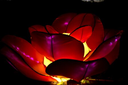Flower illuminated lamp