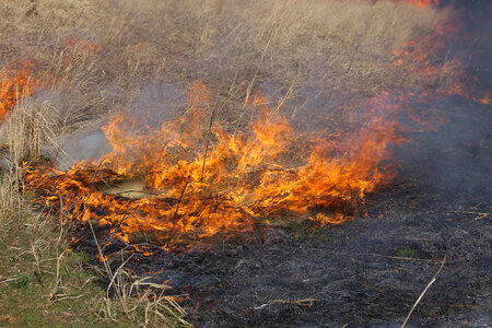 Burning field-3