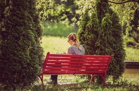 Woman Reading Red Park Bench photo