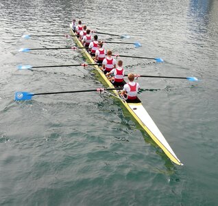 Rowing race reuss river