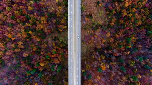 Road in the Middle of Autumn Forest Aerial View photo