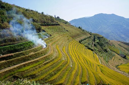 China rice terraces autumn