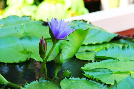 Hua hin thailand holiday