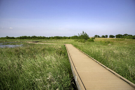 Boardwalk going out into the grasslands