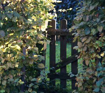 Border gate nature photo