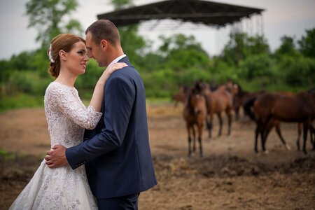 Ranch groom horses