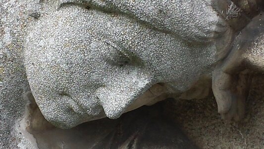 Cemetery head angel photo