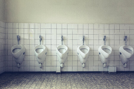 Rest Room Toilet Lavatory photo
