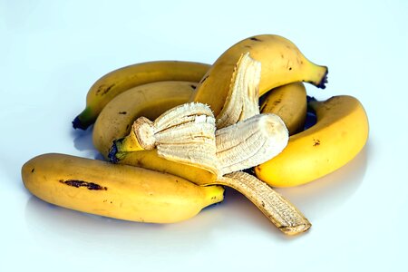 Banana bark diet