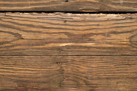Rustic Wood Texture photo