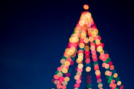 Sparkle of lights on a Christmas Tree photo