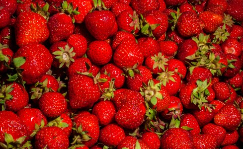 Red delicious fruit