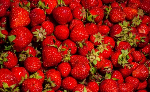 Red delicious fruit photo