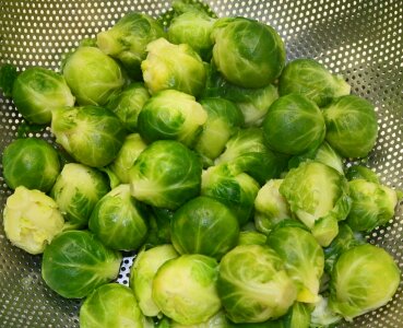Green eat food