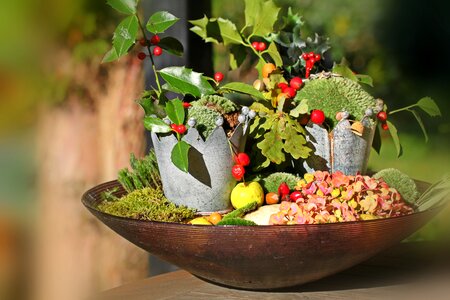 Fruits thanksgiving rose hip