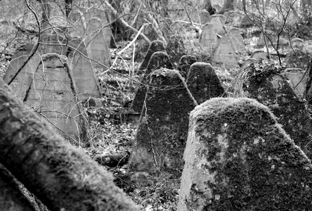 Abandoned barrier black photo