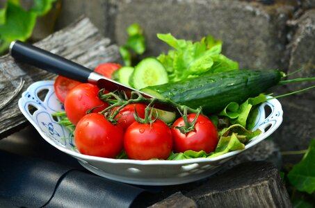 Beautiful Photo bowl cucumber