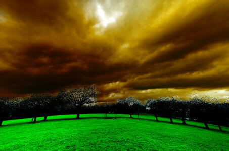 Light Effect with clouds over grass and trees photo