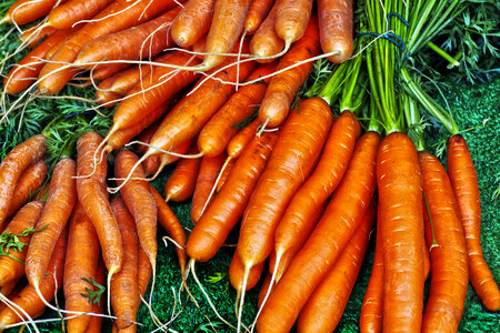 Carrot Vegetables