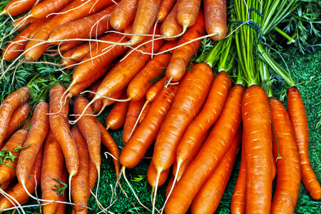 Carrot Vegetables photo