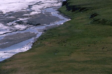 Caribou habitat 
