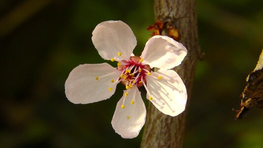 Macro open summer