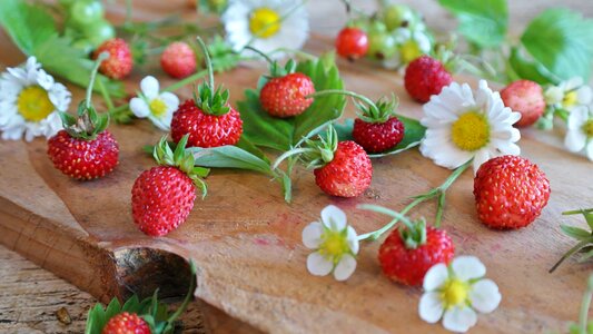 Beautiful Flowers beautiful photo berry photo