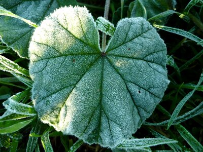 Winter cold surface