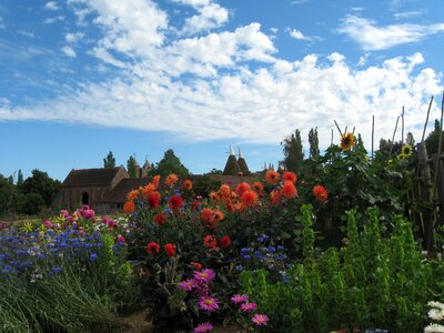 Garden flowers oast house photo