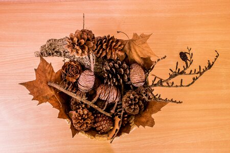 Autumn leaves pineapples
