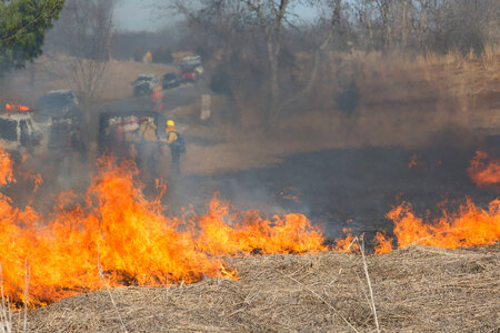 Prescribed burn at NCTC -1 photo