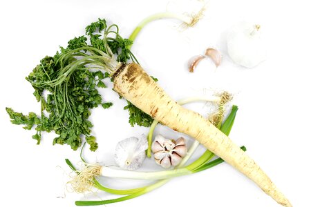 Garlic leek parsley