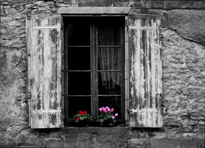 Window flower flower box photo