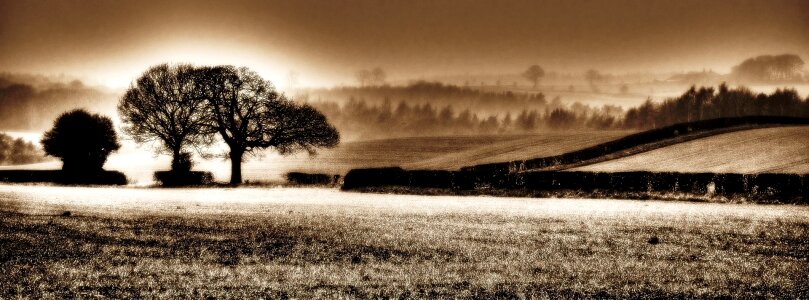 Yorkshire field background photo