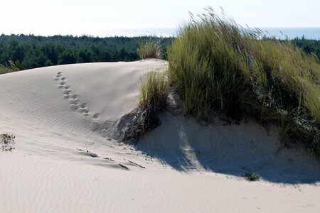 Nature landscape dune photo